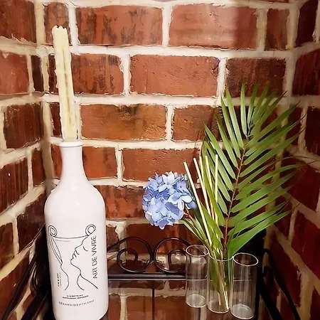 Historical Center Liberty Union Square Lägenhet Timişoara