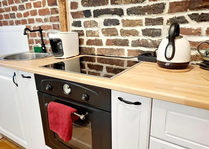 Historical Center Liberty Union Square Appartement Timişoara