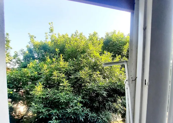 Lägenhet Historical Center Liberty Union Square Timişoara