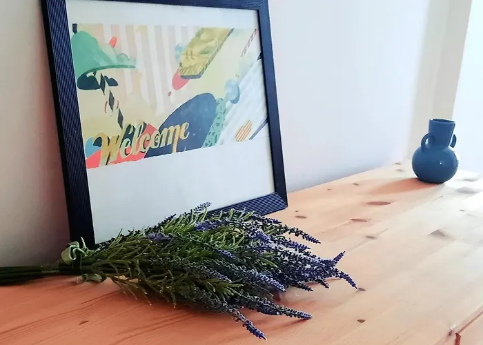 Historical Center Liberty Union Square Timişoara